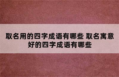 取名用的四字成语有哪些 取名寓意好的四字成语有哪些